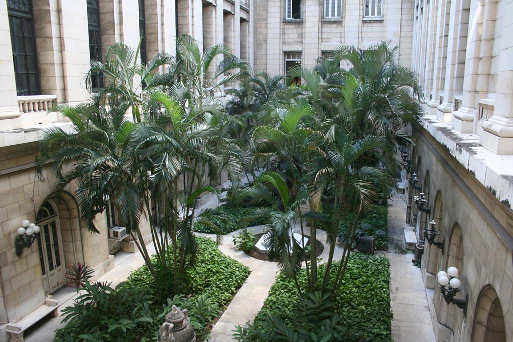 A whole courtyard, seen from an upstairs window.