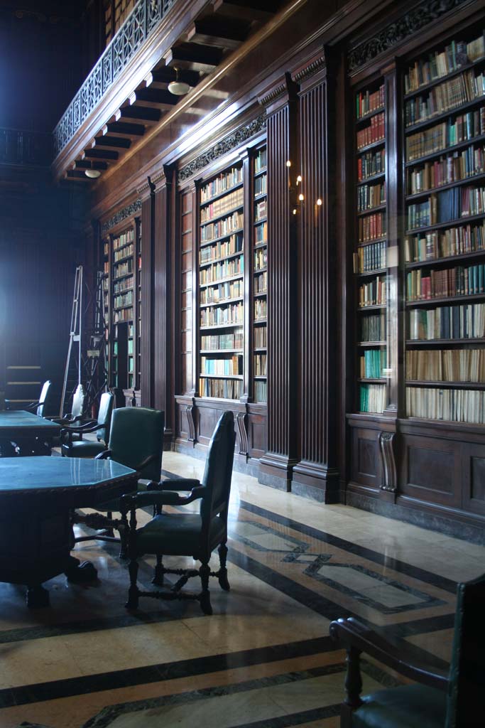 The library.