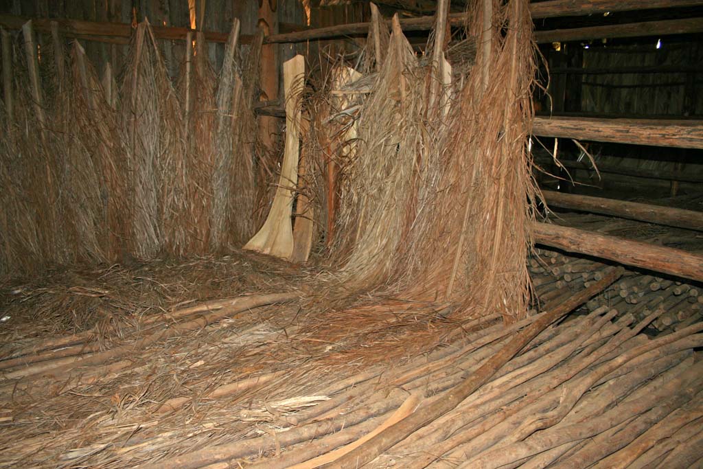 Palm leaves drying, possibly for roofing purposes.
