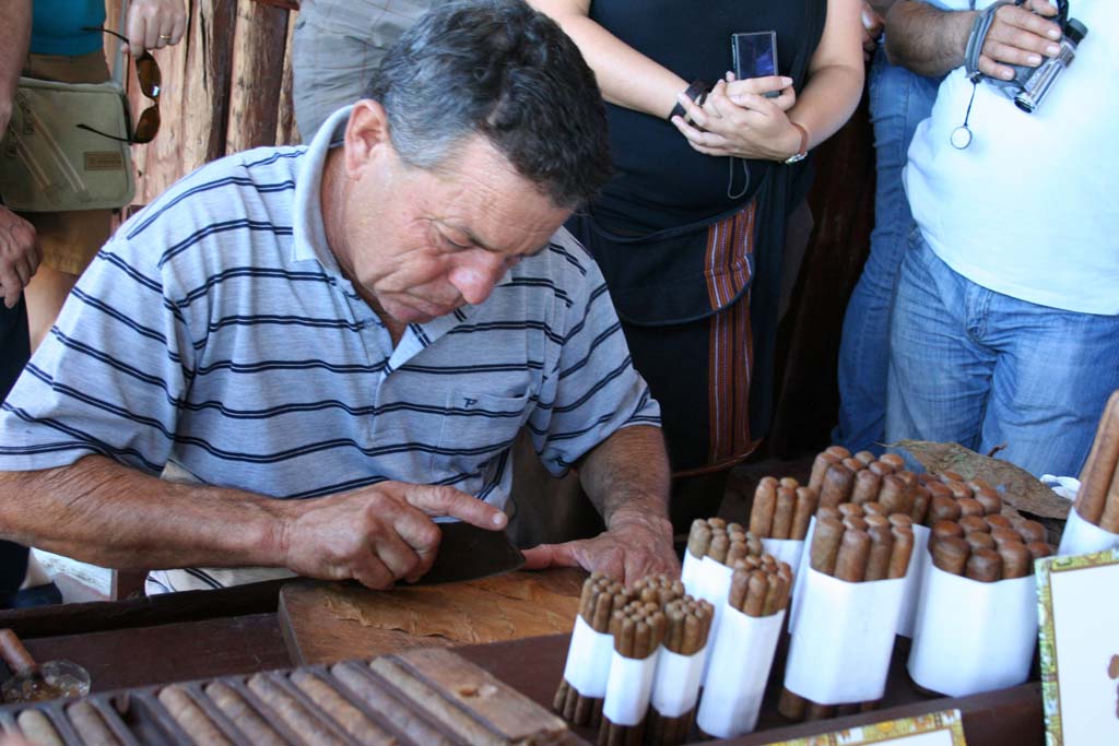 Cutting the leaf before rolling a cigar.