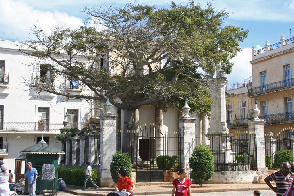 A special luck tree in Plaza de Armas. Walk round it three times for luck and prosperity.