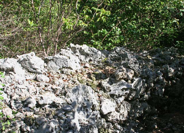 The remains of an ancient wall.