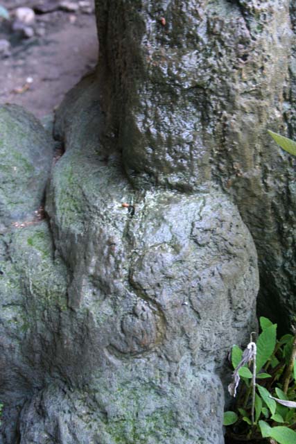 The S shape carved by early inhabitants signifies water nearby.